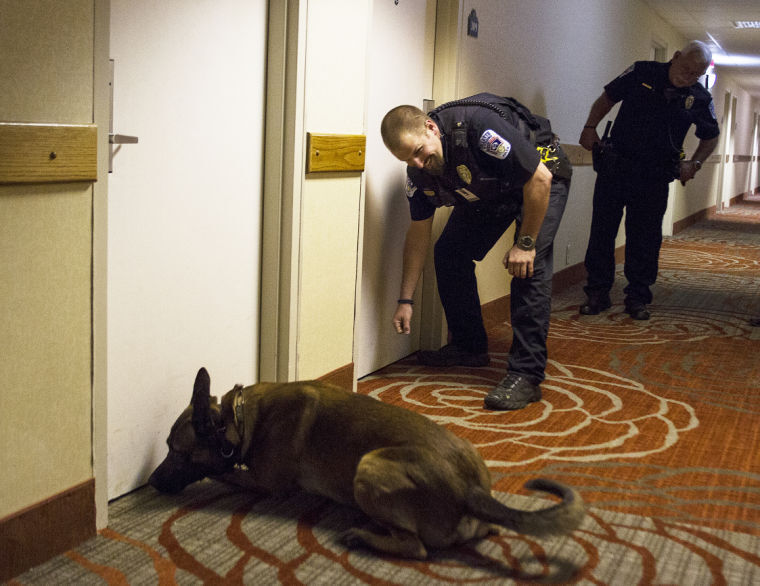 K9 Duke